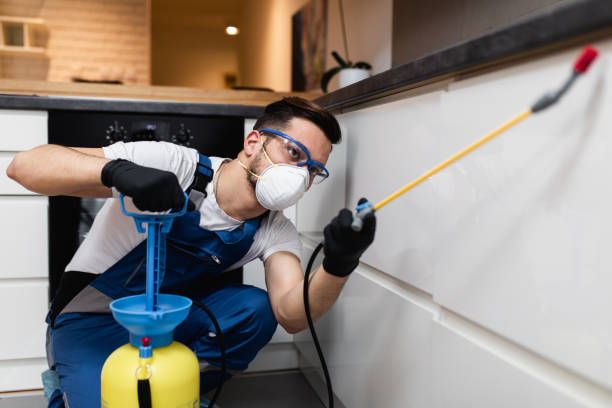 Best Best Pest Control Companies  in Tuscola, IL
