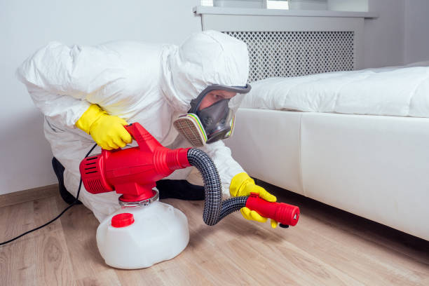 Best Termite Control Services  in Tuscola, IL