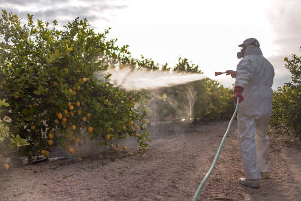 Reliable Tuscola, IL Pest Control Solutions