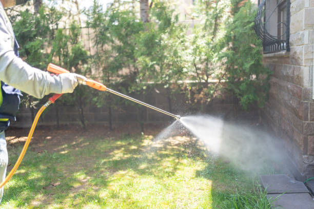 Best Emergency Pest Control  in Tuscola, IL